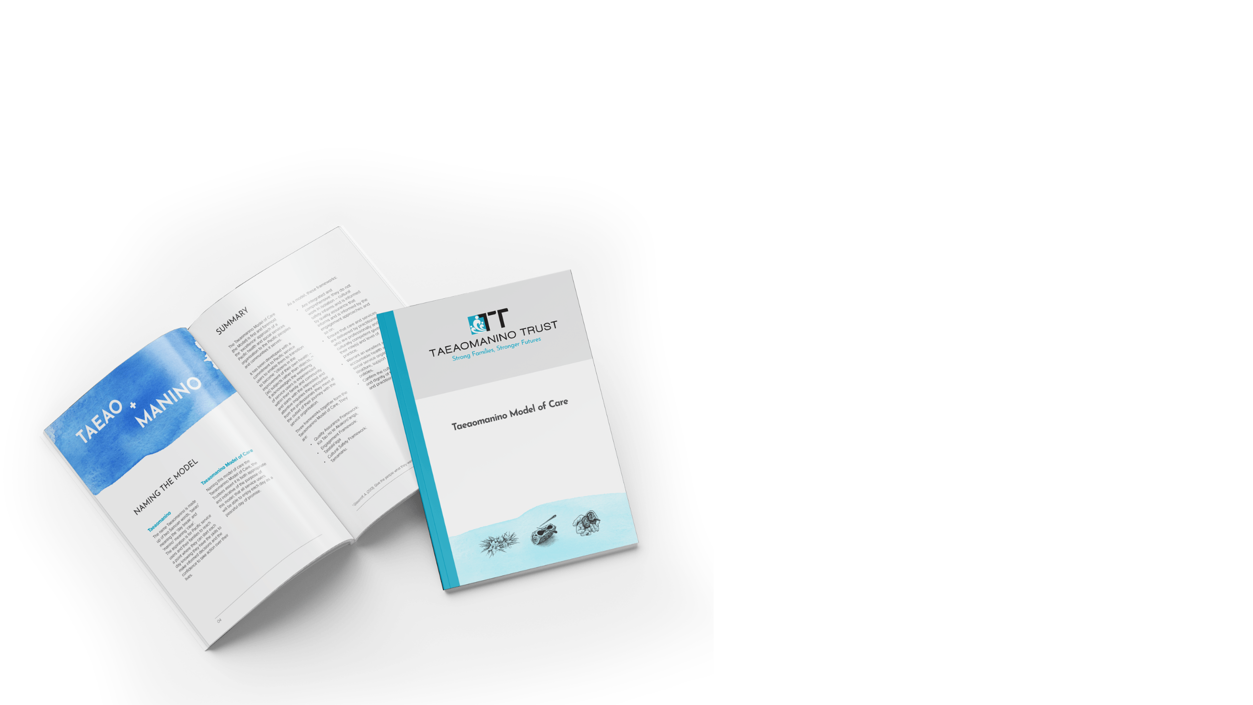 Taeaomanino Trust mockup
